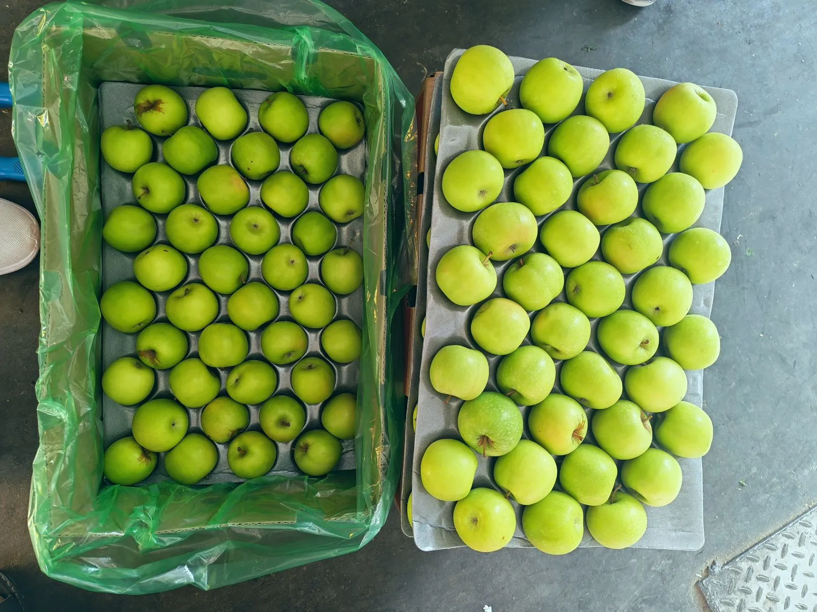 Warehouse Operations